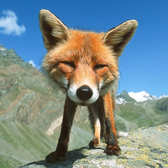 Meet your Posher, Marissa - Picture 1 of 1